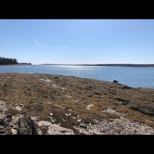 Meet your Posher, Claire